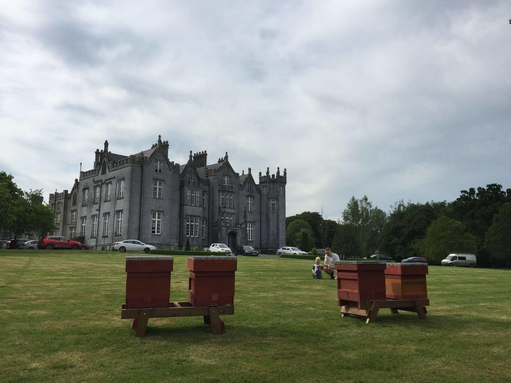 Kinnitty Castle Hotel Eksteriør billede